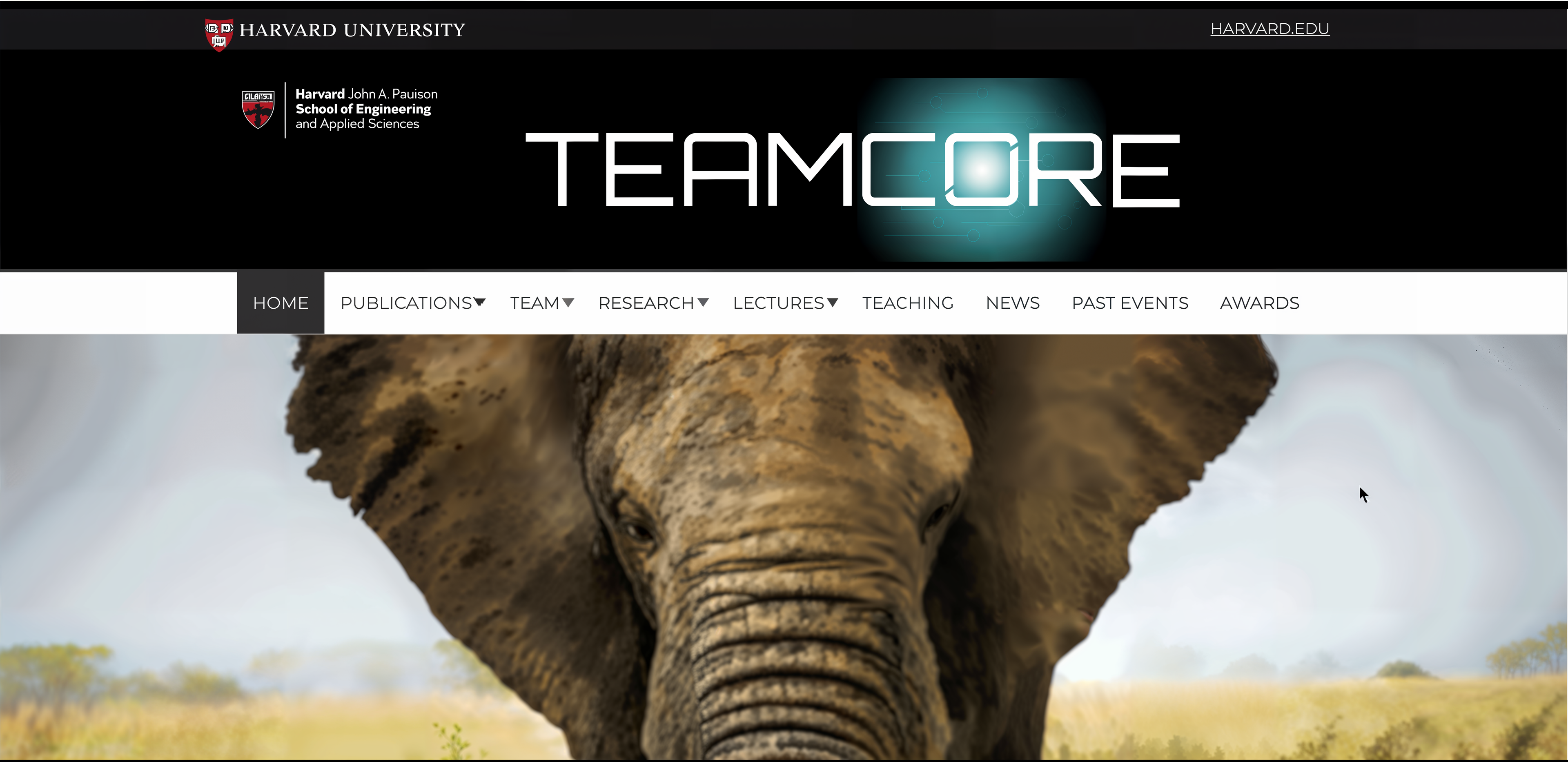 Teamcore — image 3