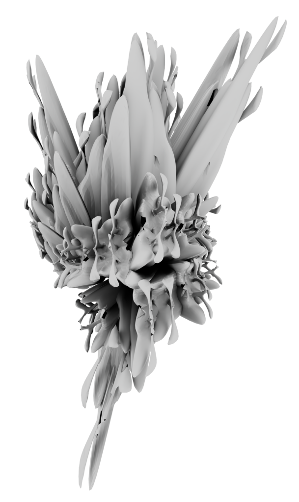 Botanical study — Gina Franzetta